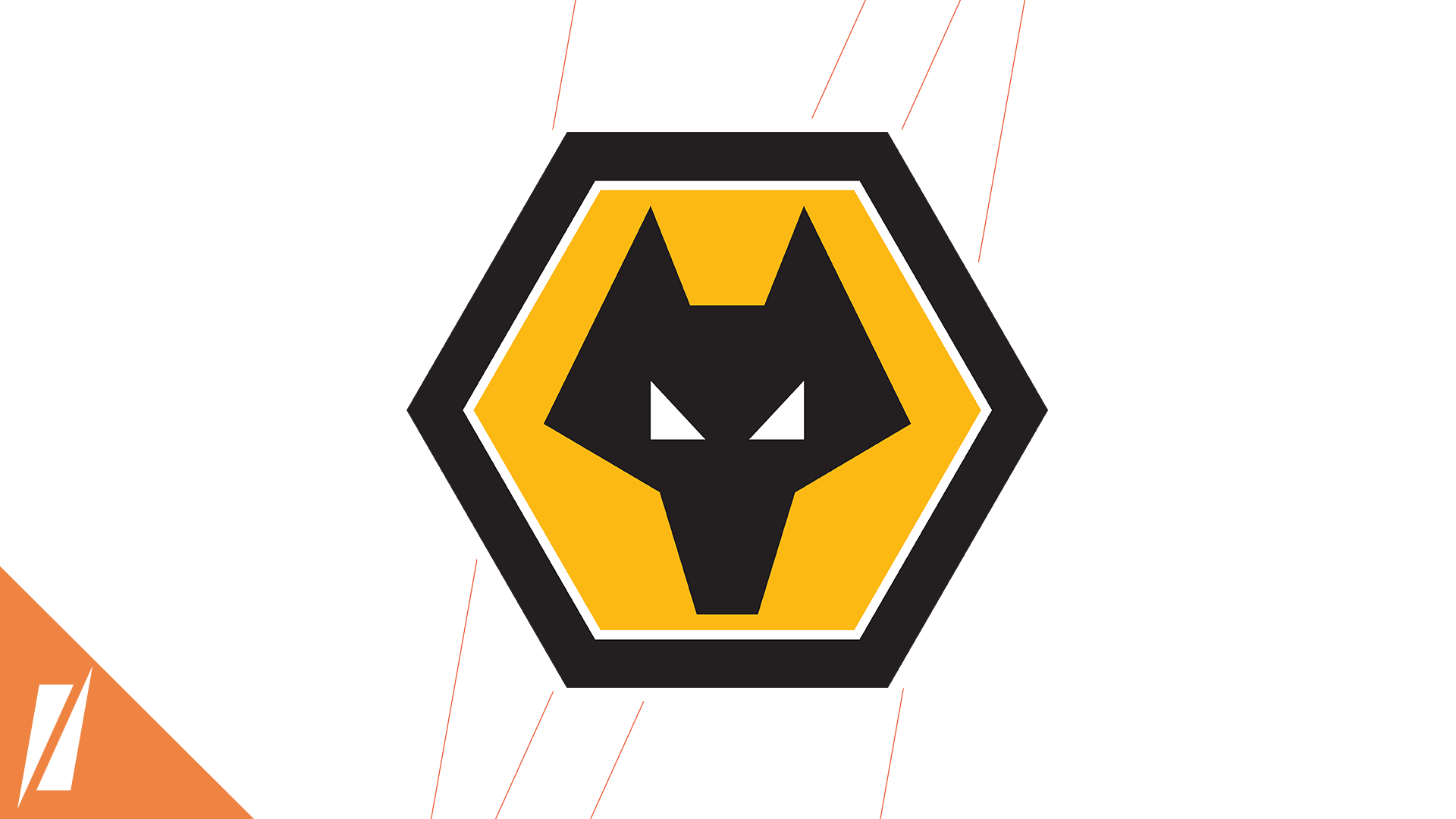 A Football Brand At Heart – An Interview With Wolves Esports